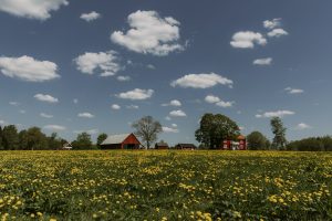Rural home in Sweden