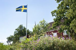 Swedish flag in summer