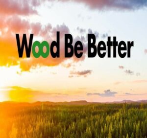 Overview of forest in the sunset with Wood be better logotype
