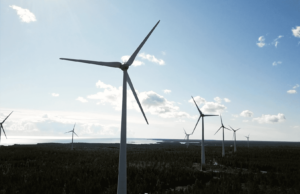 Wind power plants in forest