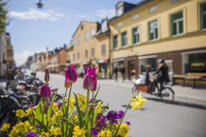 Biking in Uppsala